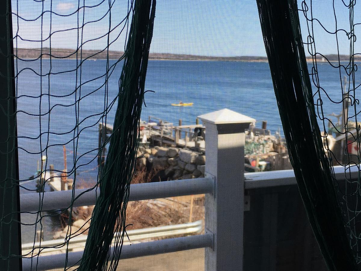 مبيت وإفطار هاليفاكس Seawatch Bed & Breakfast المظهر الخارجي الصورة